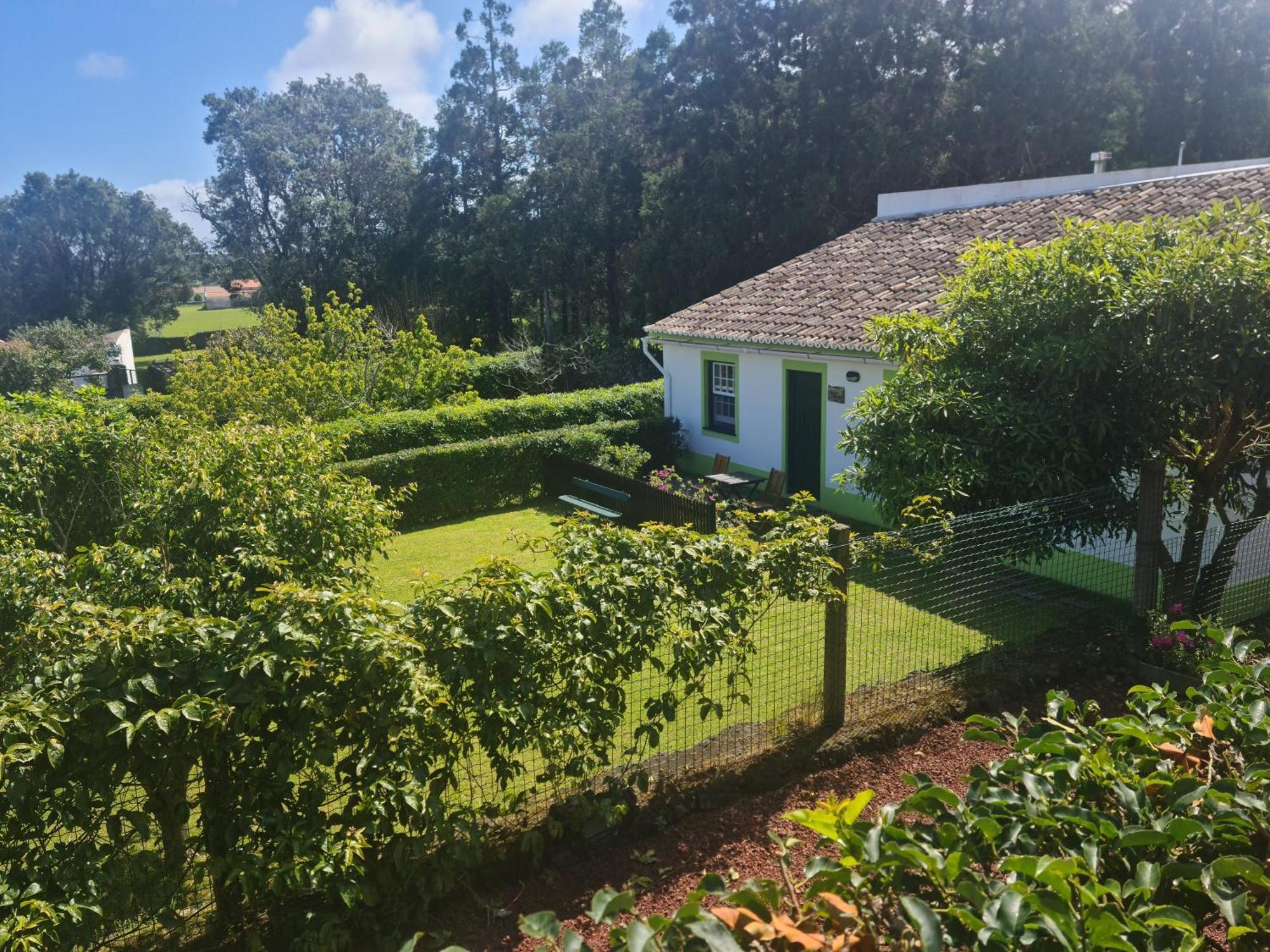 Stonewood Lodge Al São Vicente Ferreira Eksteriør billede