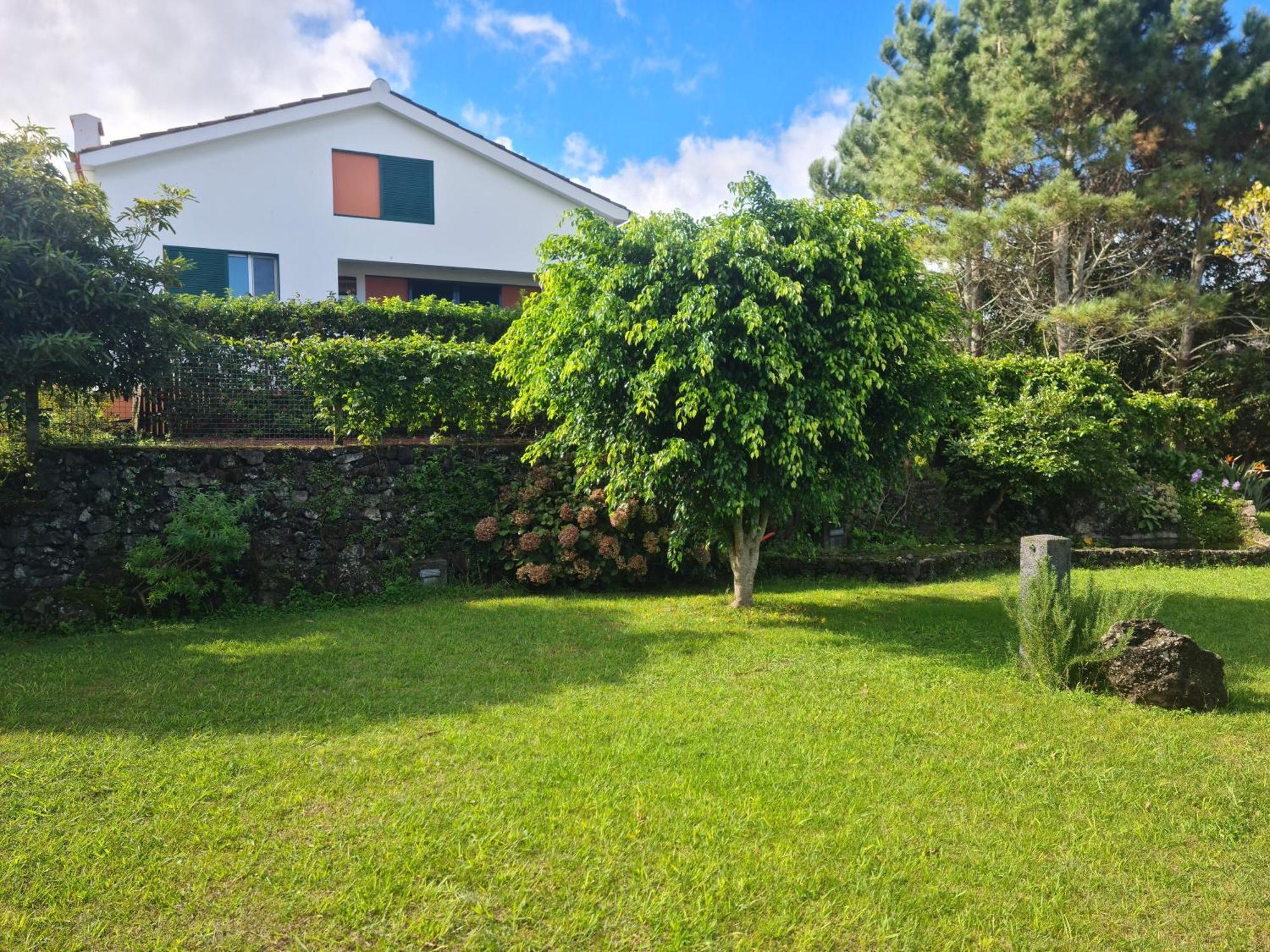 Stonewood Lodge Al São Vicente Ferreira Eksteriør billede