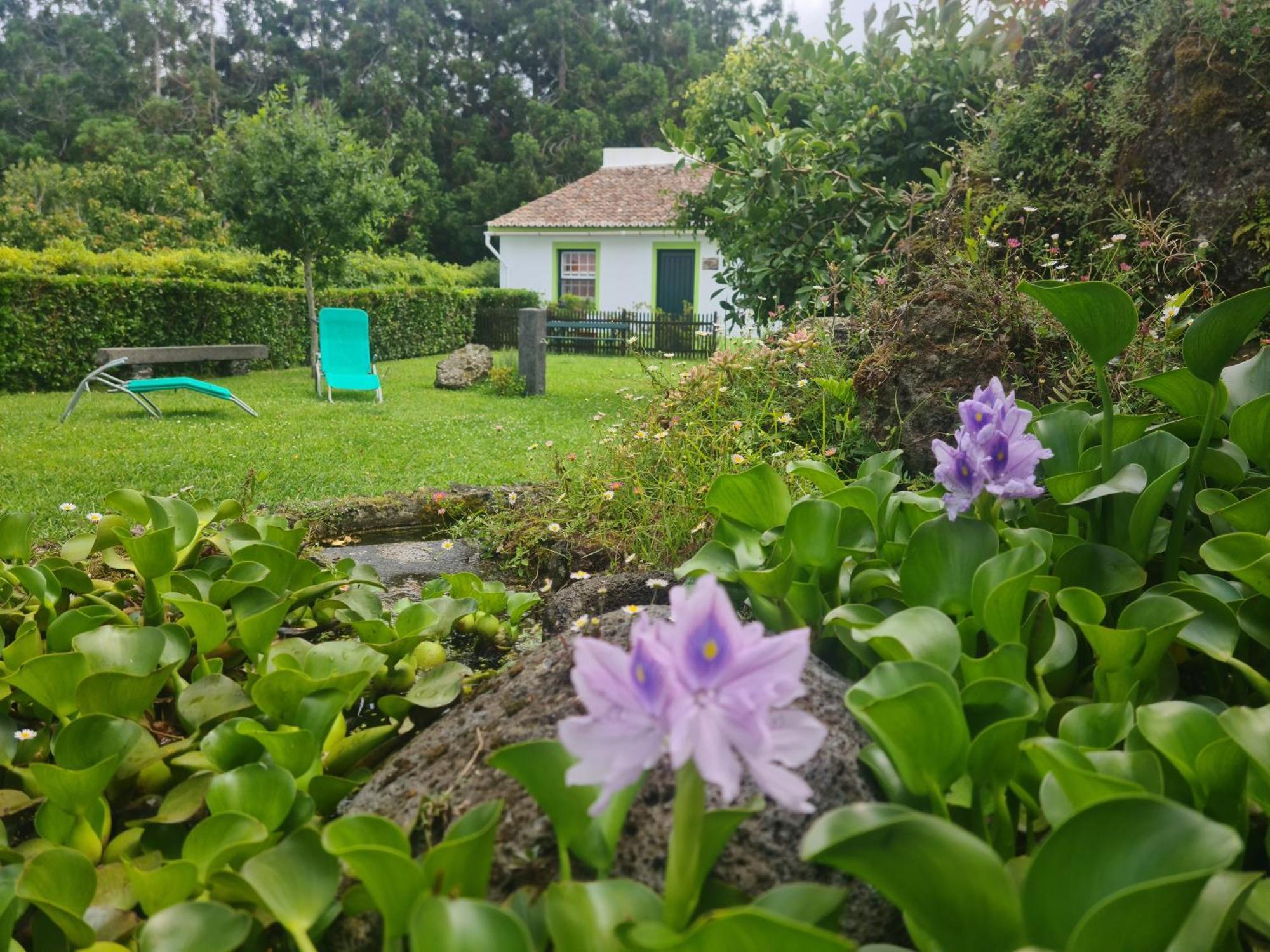Stonewood Lodge Al São Vicente Ferreira Eksteriør billede