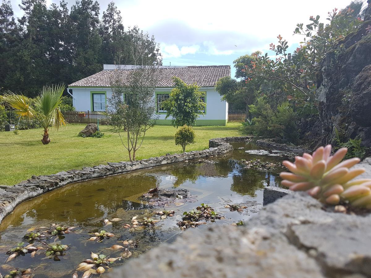 Stonewood Lodge Al São Vicente Ferreira Eksteriør billede