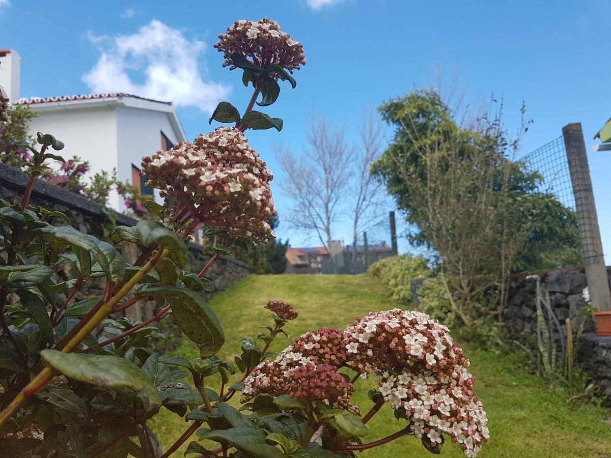 Stonewood Lodge Al São Vicente Ferreira Eksteriør billede