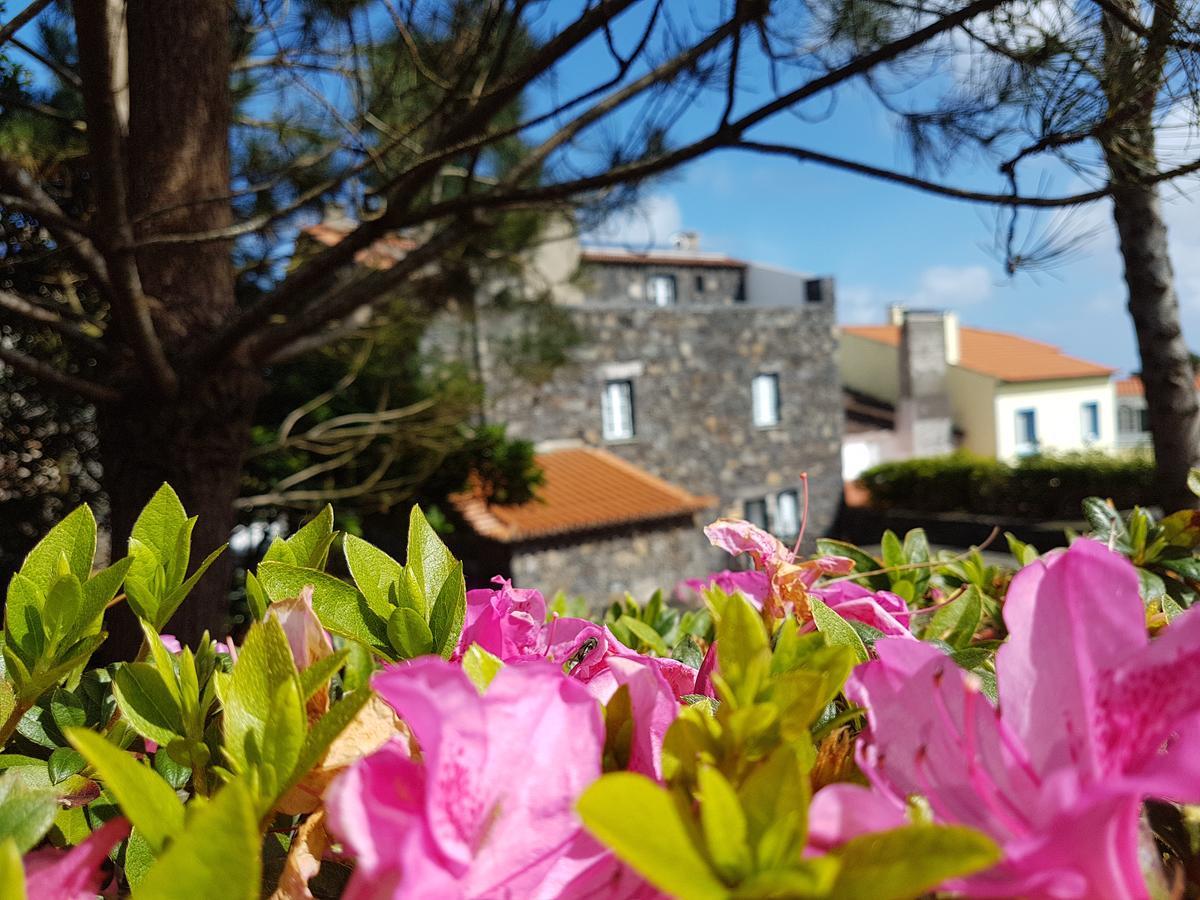 Stonewood Lodge Al São Vicente Ferreira Eksteriør billede