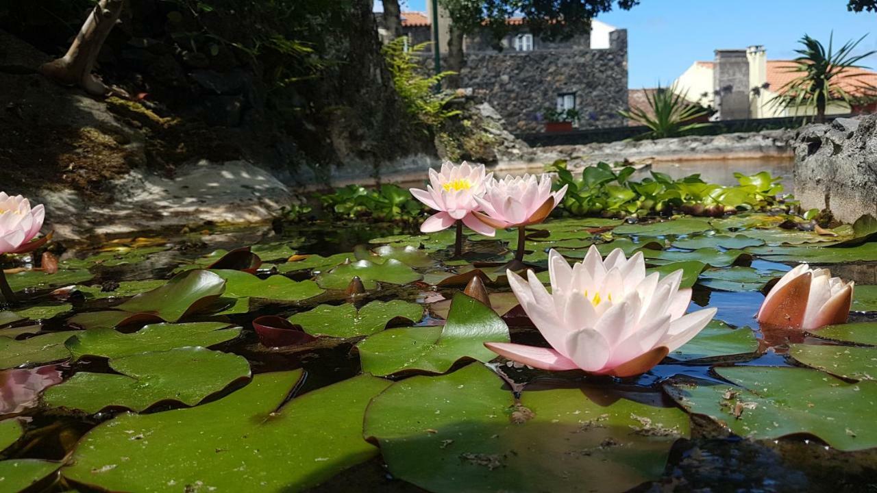 Stonewood Lodge Al São Vicente Ferreira Eksteriør billede